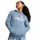 Puma Girls ESS Logo Hoodie FL