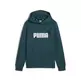 Puma Junior ESS+ 2 Col Big Logo Hoodie FL B "Cold Green"
