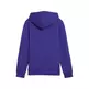 Puma Junior ESS+ 2 Col Big Logo Hoodie FL B "Lapis Lazuli"