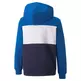 Puma Junior ESS+ Colorblock Hoodie
