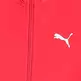Puma Junior Tricot Suit