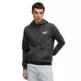 Puma MAXIMAL METALLIC Hoodie FL "Dusky Gray"