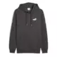 Puma MAXIMAL METALLIC Hoodie FL "Dusky Gray"