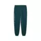 Puma MAXIMAL METALLIC Sweatpants FL "Green Terrain"
