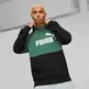 Puma Power Colorblock Hoodie TR " Vine"