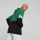 Puma Power Colorblock Hoodie TR " Vine"