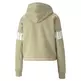 Puma Power Hoodie FL