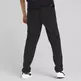 Puma RAD/CAL Pants DK