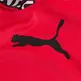 Puma TRAIN PWR FLEECE HOODIE