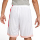 Short Nike Dri-FIT Men's Basketball "Coral"