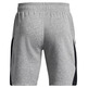 UA Men's Curry Splash Fleece Shorts "Mod Gray"