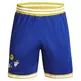 Under Armour Basketball Curry Mesh Short 2 "Royal Blue"