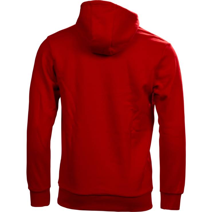 Adidas Sudadera Graphics Team Chicago Bulls