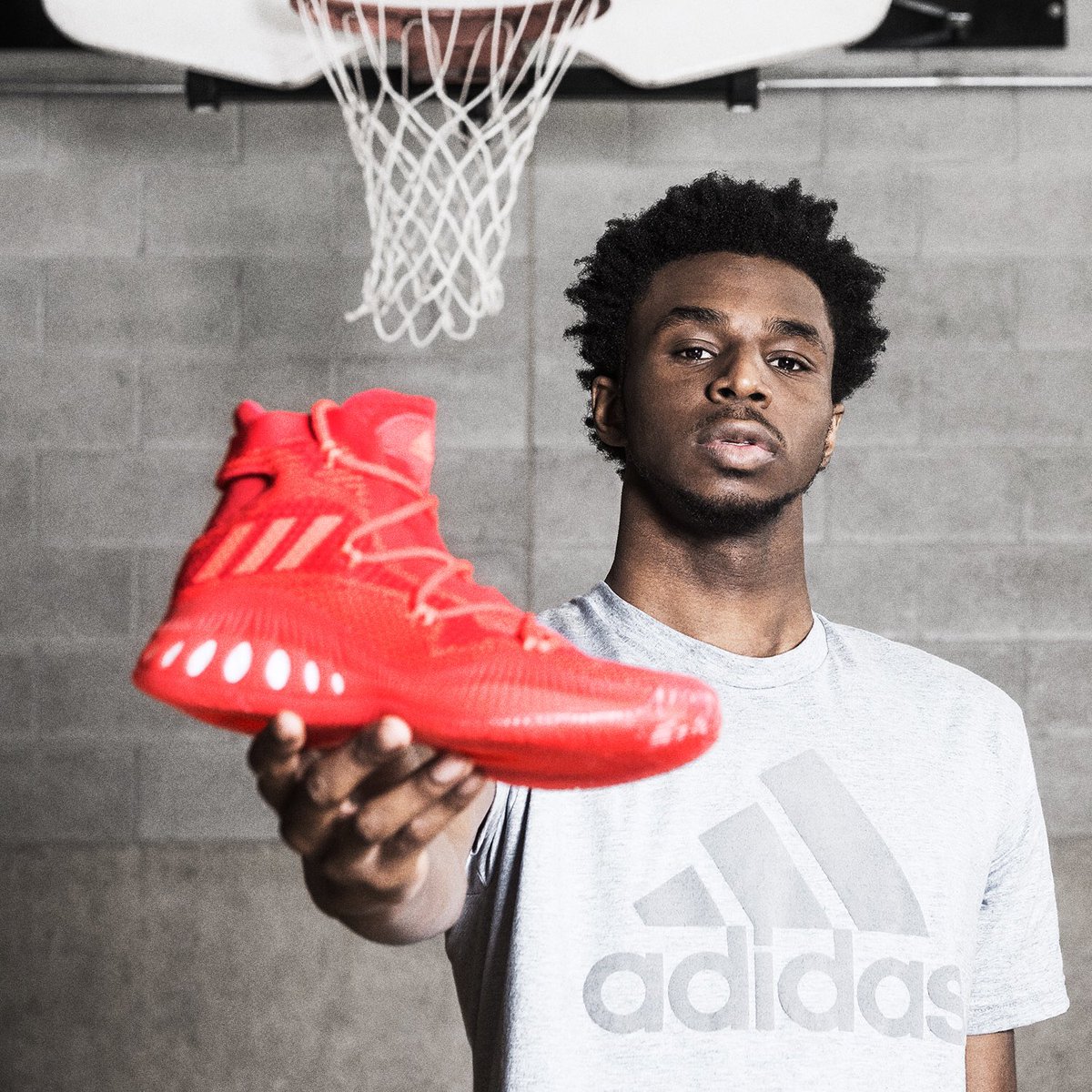 crazy explosive primeknit red