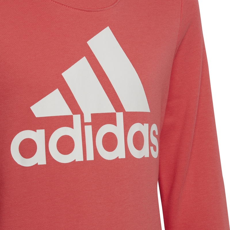Hay una tendencia Hubert Hudson Fabricación Adidas Kids Essentials Big Logo Sweatshirt (Semtur/White)