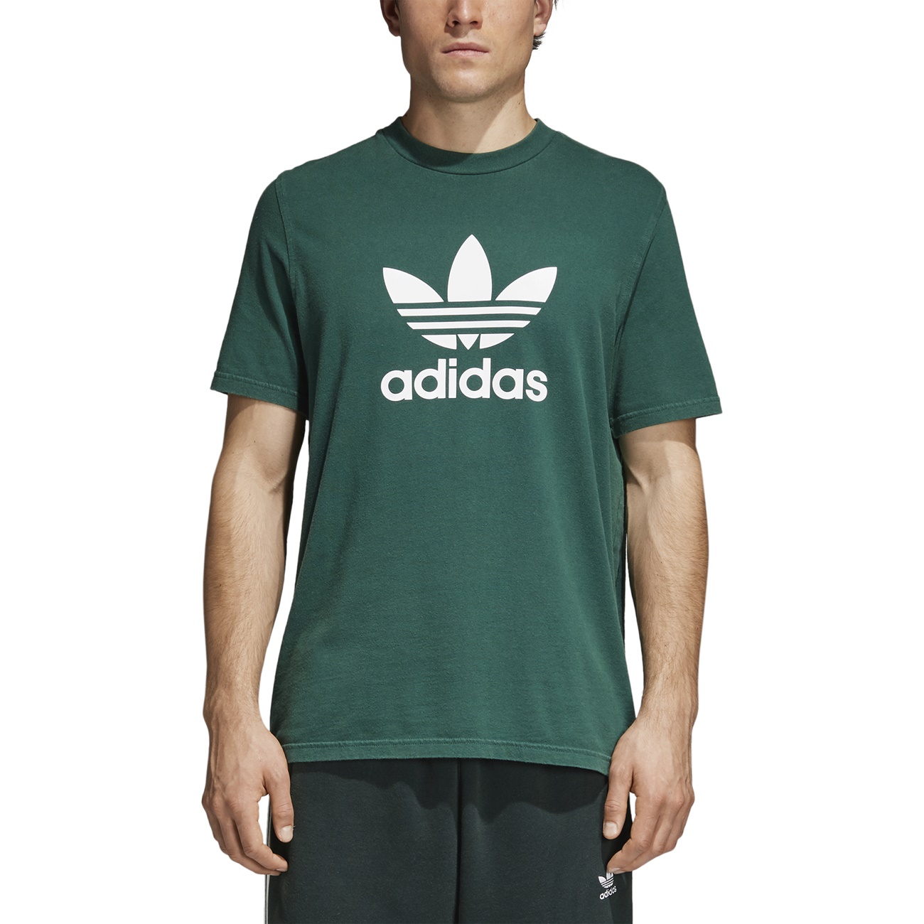  Adidas  Originals Trefoil T Shirt  Green  manelsanchez com
