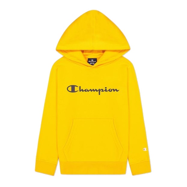 Champion hoodie american classic sale