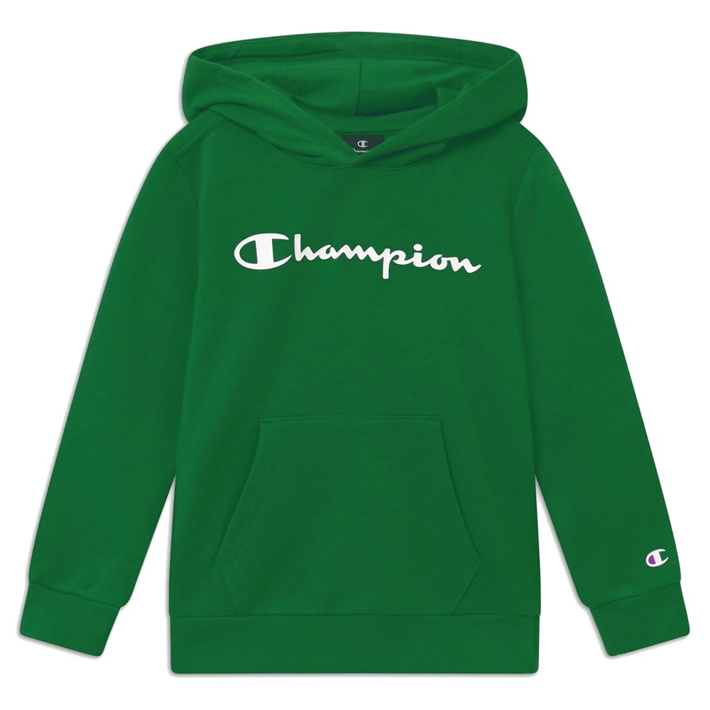 champion-kids-authentic-classic-big-logo-hoodie-gs561-1.jpg