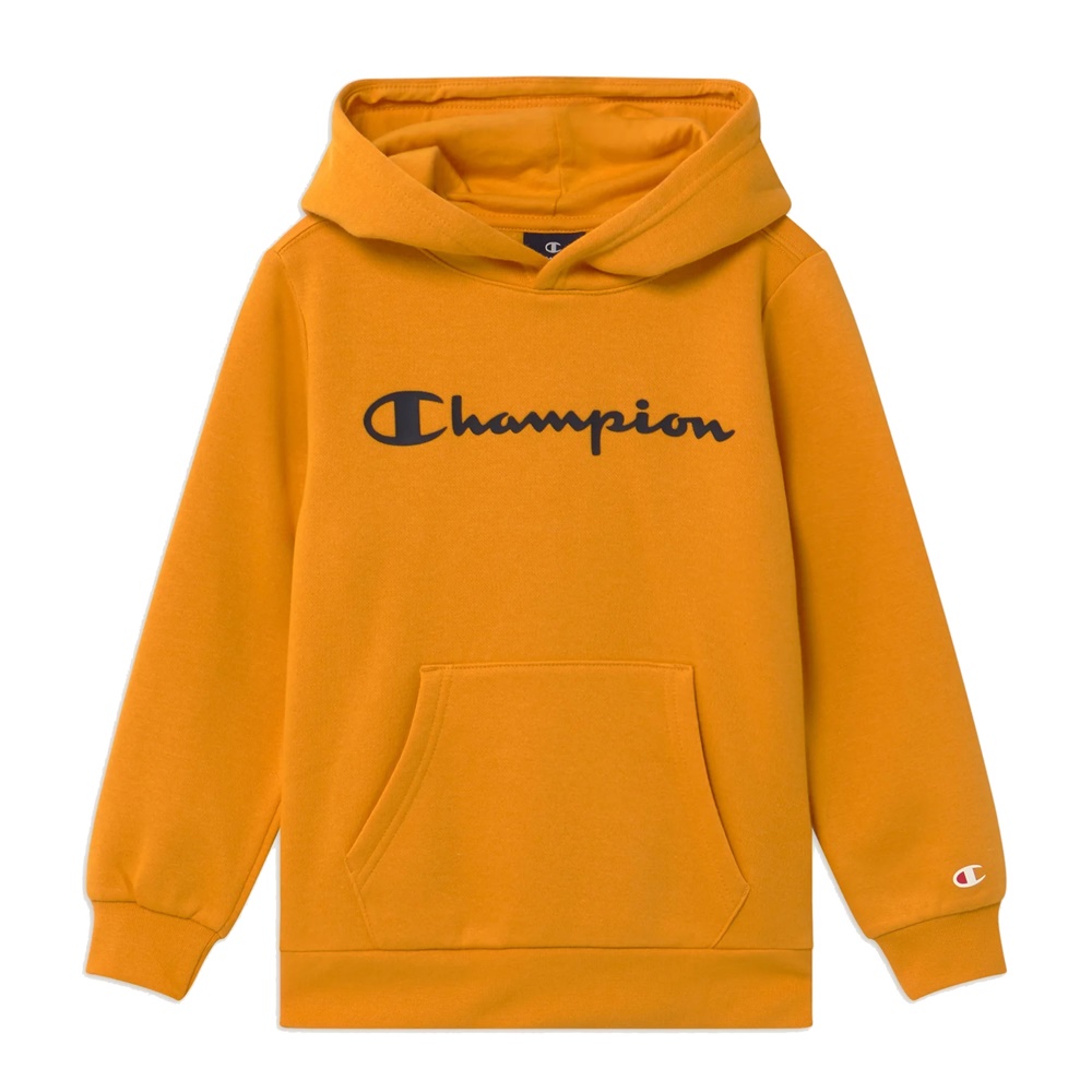 champion-kids-authentic-classic-big-logo-hoodie-os033-1.jpg
