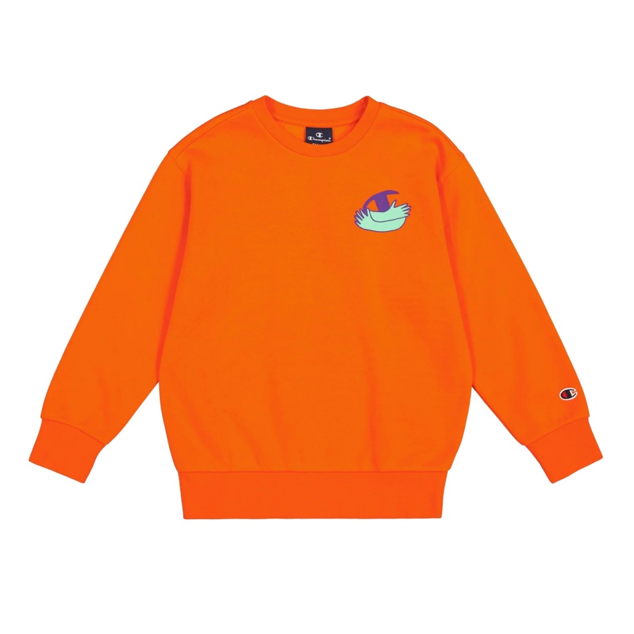 Champion sweater for toddlers traduccion deals