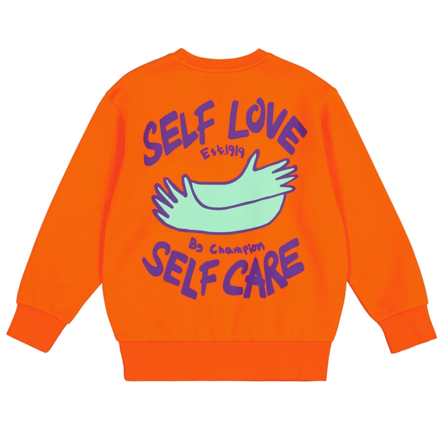 Champion sweater for toddlers traduccion hot sale