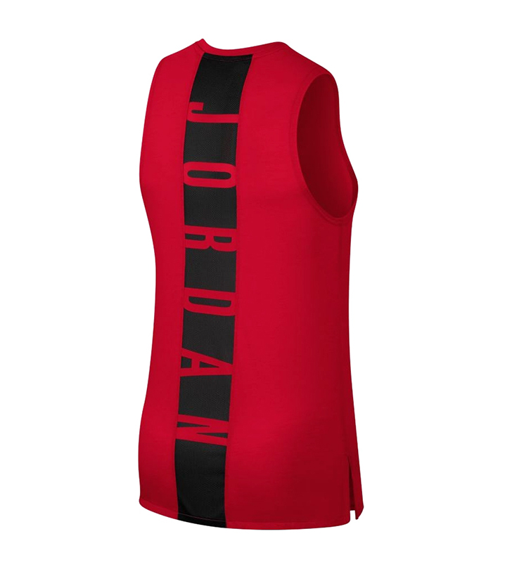Jordan Dry 23 Alpha Top (687) - manelsanchez.com