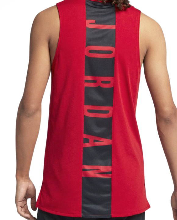 Jordan Dry 23 Alpha Top (687) - manelsanchez.com
