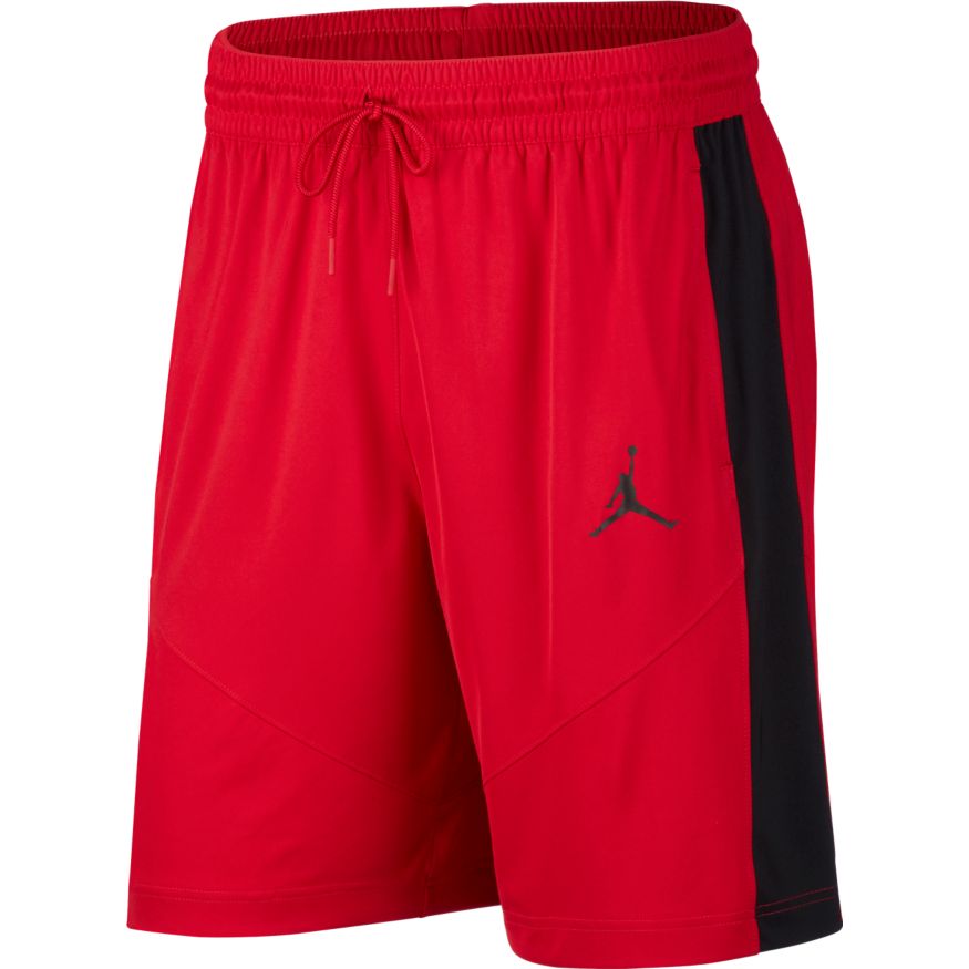 Jordan Jumpman Basketball Shorts (687)