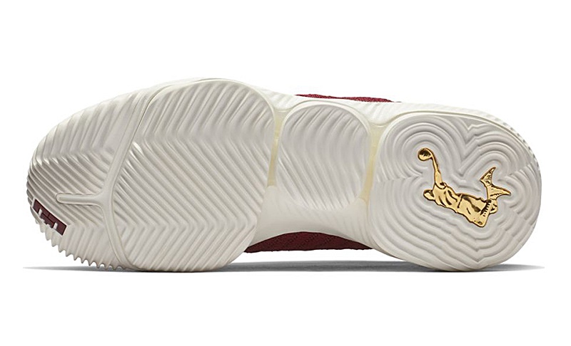Nike Lebron XVI \