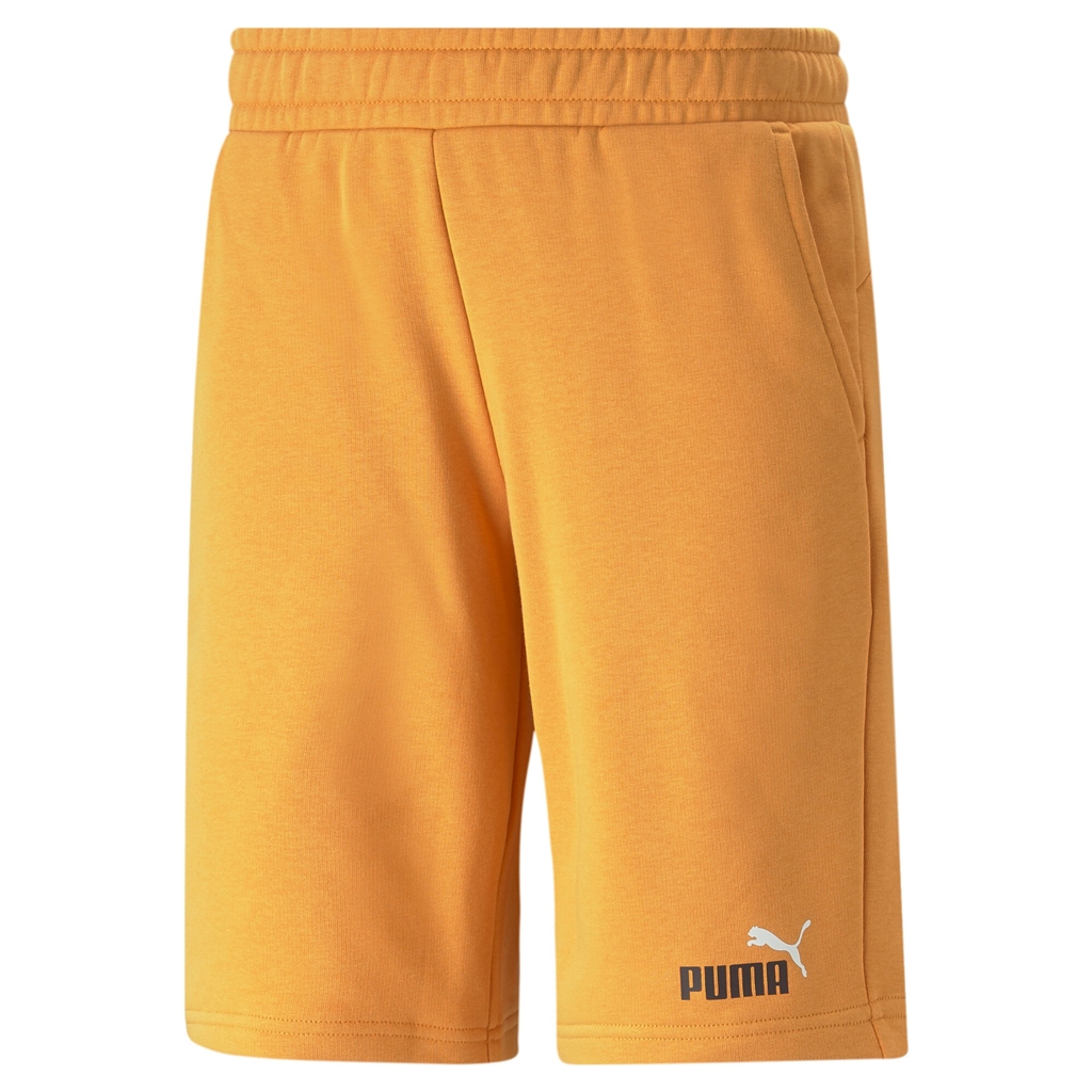 Puma clearance desert shorts