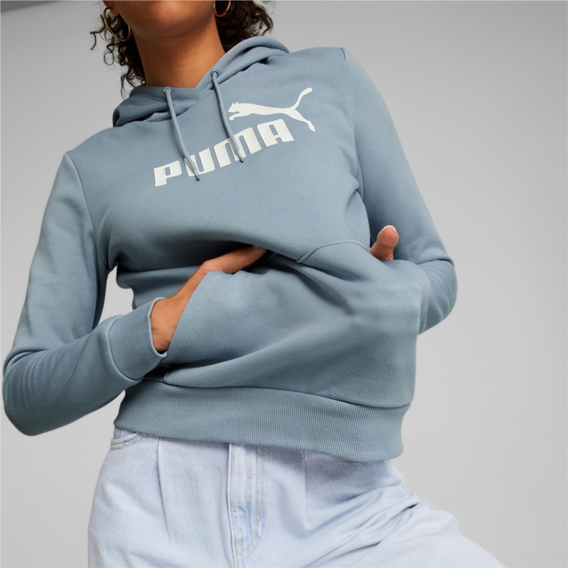 Puma ESS Logo Hoodie FL (blue wash)