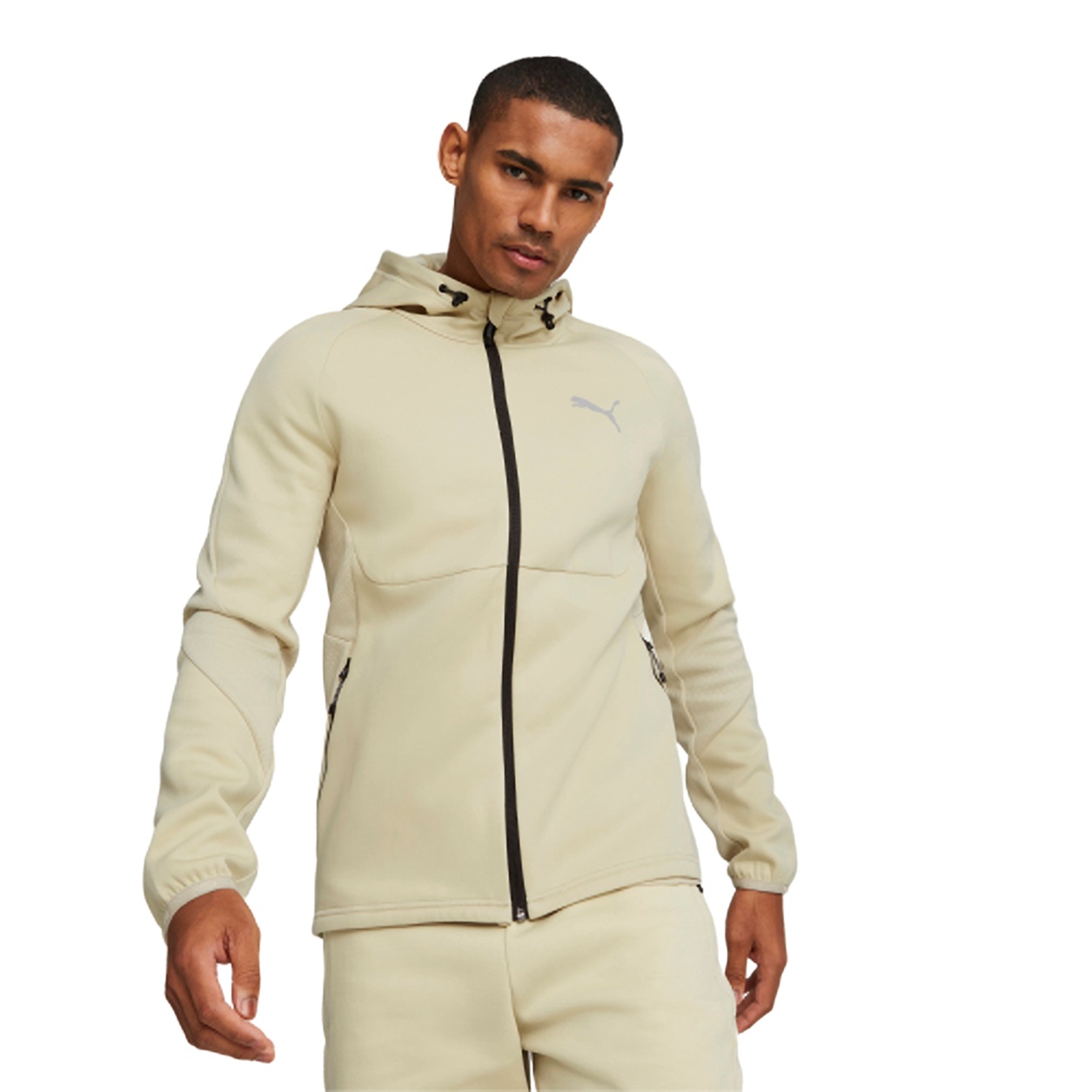 Puma EVOSTRIPE Full-Zip Hoodie DK (granola)