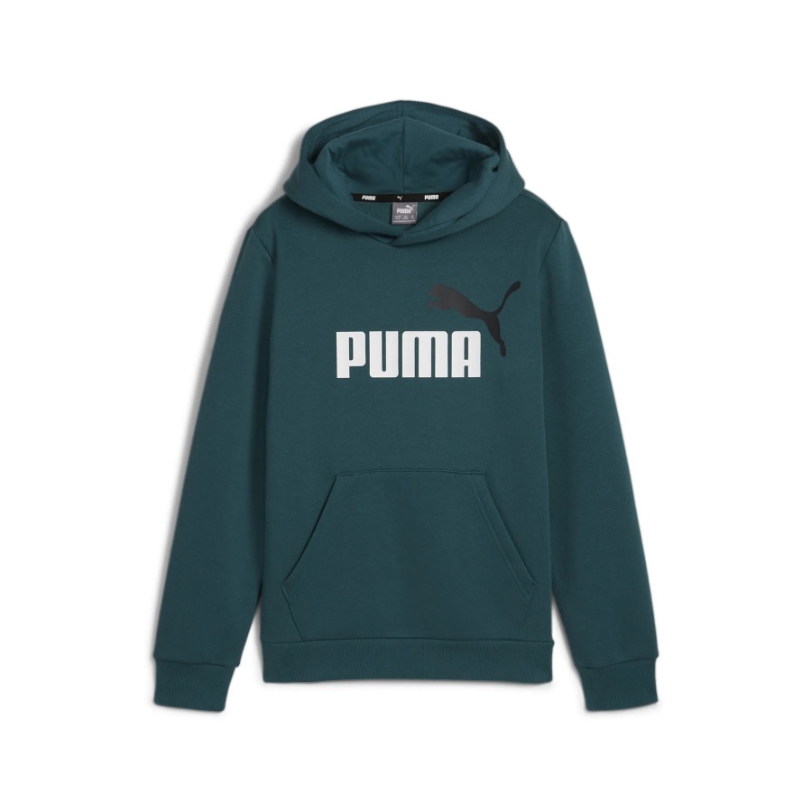 Puma Junior ESS 2 Col Big Logo Hoodie FL B Cold Green