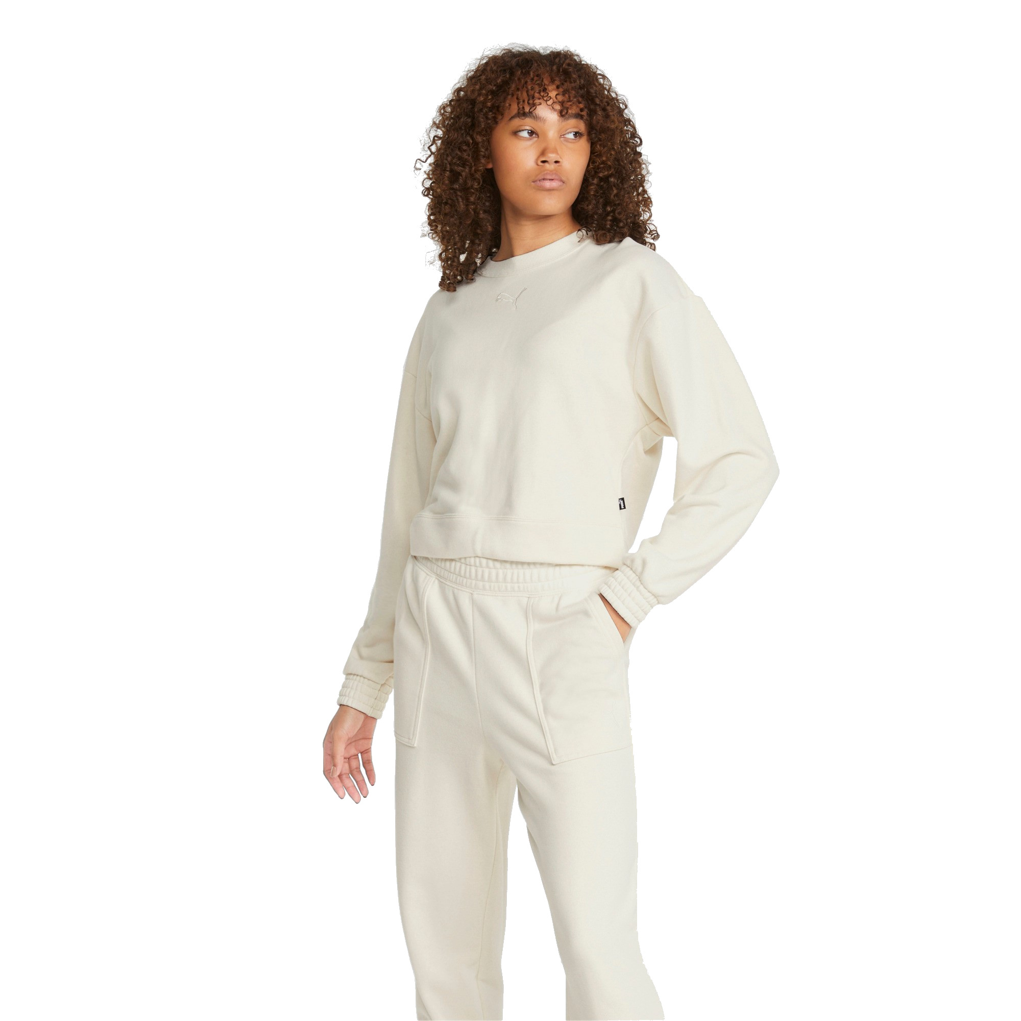 Puma Loungewear Suit (beige) 